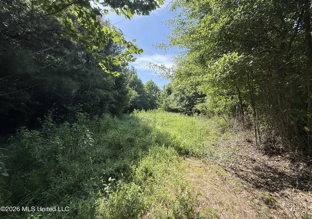 Homes for sale in Kilmichael, MS | Winfry Rd, Kilmichael, MS 39747 | MLS# 4155130