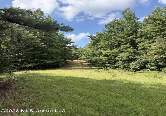 Homes for sale in Kilmichael, MS | Hwy 407, Kilmichael, MS 39747 | MLS# 4155139