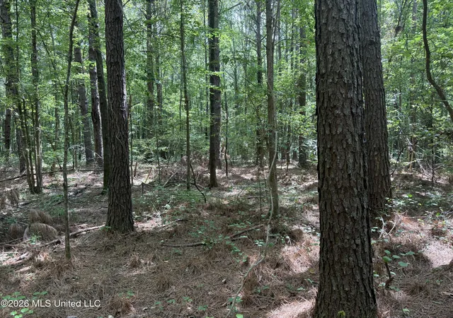 Homes for sale in Kilmichael, MS | Hwy 407, Kilmichael, MS 39747 | MLS# 4155139