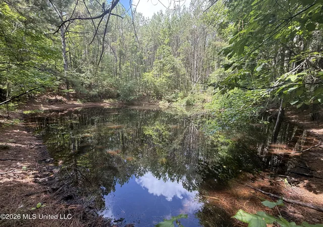 Homes for sale in Kilmichael, MS | Hwy 407, Kilmichael, MS 39747 | MLS# 4155139