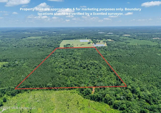 Homes for sale in Bay Springs, MS | 23 Co Rd 23, Bay Springs, MS 39422 | MLS# 4155175