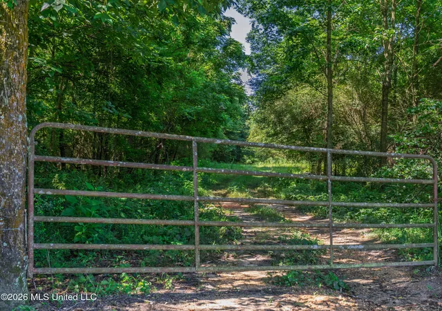 Homes for sale in Bay Springs, MS | 23 Co Rd 23, Bay Springs, MS 39422 | MLS# 4155175
