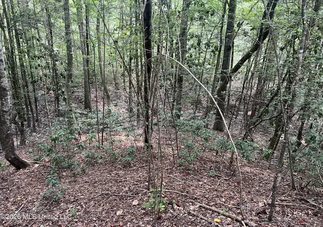 1st image of Mcdonald Rd, Leakesville, MS 39451 | MLS# 4155186