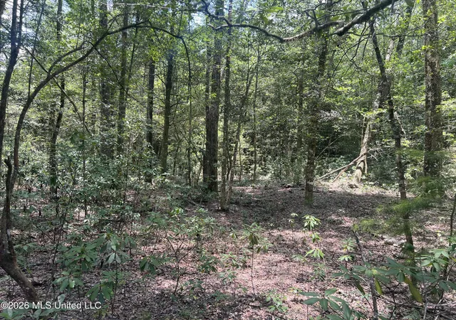 3rd image of Mcdonald Rd, Leakesville, MS 39451 | MLS# 4155186