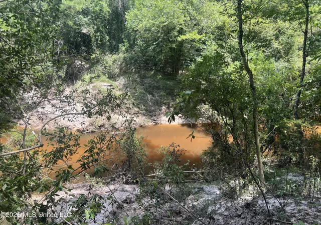 4th image of Mcdonald Rd, Leakesville, MS 39451 | MLS# 4155186