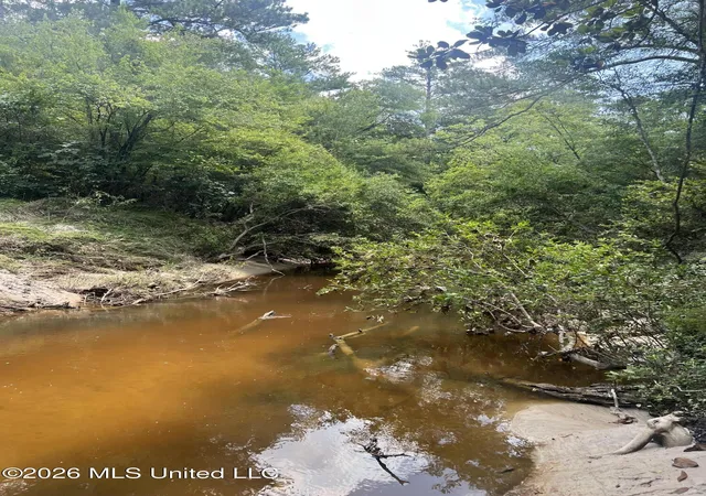 5th image of Mcdonald Rd, Leakesville, MS 39451 | MLS# 4155186