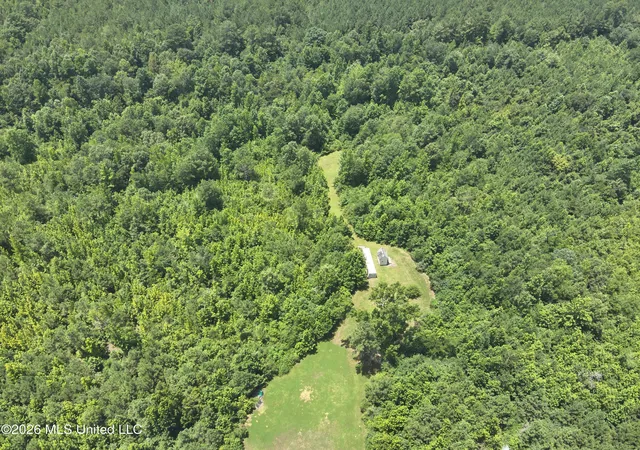 Homes for sale in Carthage, MS | 000 Mississippi 43, Carthage, MS 39051 | MLS# 4155618