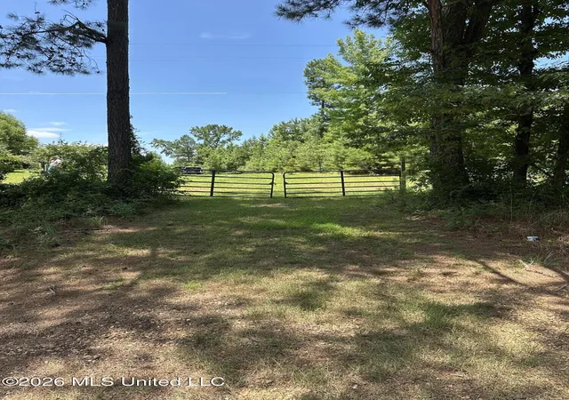 Homes for sale in Carthage, MS | 000 Mississippi 43, Carthage, MS 39051 | MLS# 4155618