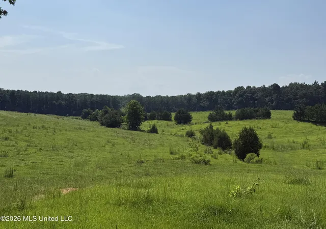 Homes for sale in Eupora, MS | Monte Vista Road, Eupora, MS 39744 | MLS# 4155415