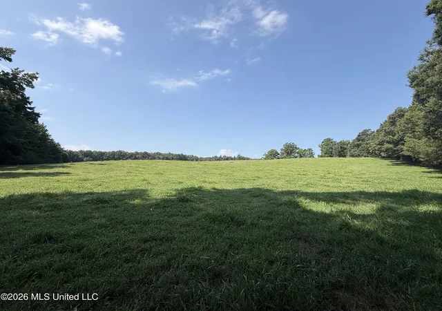 Homes for sale in Eupora, MS | Monte Vista Road, Eupora, MS 39744 | MLS# 4155415
