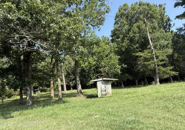 Homes for sale in Eupora, MS | Monte Vista Road, Eupora, MS 39744 | MLS# 4155415