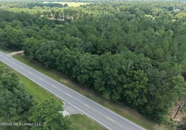 2nd image of S Hwy 43, Picayune, MS 39466 | MLS# 4155210