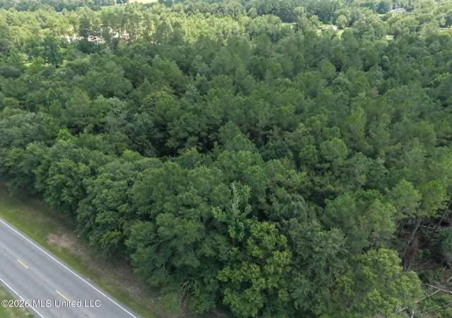 Photo 3 of Land for sale at S Highway 43, Picayune, MS 39466 | MLS# 4155210 | Listing updated on 2026-08-25