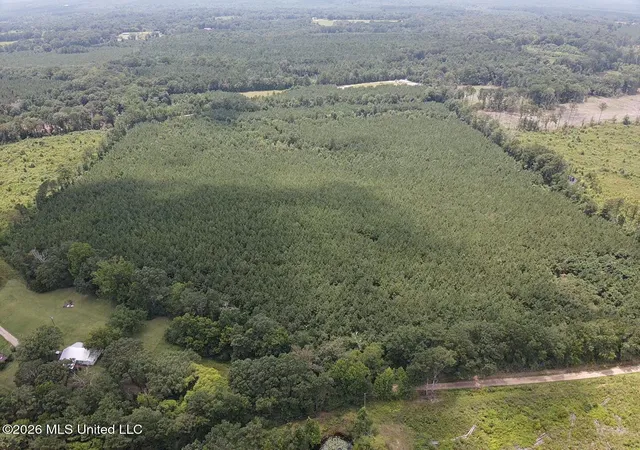 Homes for sale in Morton, MS | County Road 131b, Morton, MS 39117 | MLS# 4155219