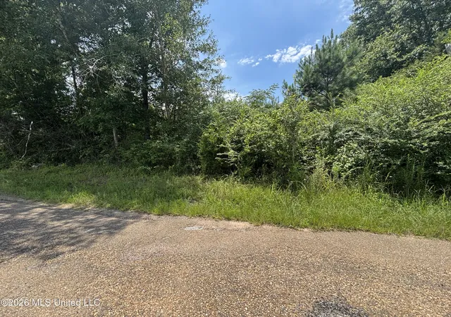 Homes for sale in Morton, MS | County Road 131b, Morton, MS 39117 | MLS# 4155219
