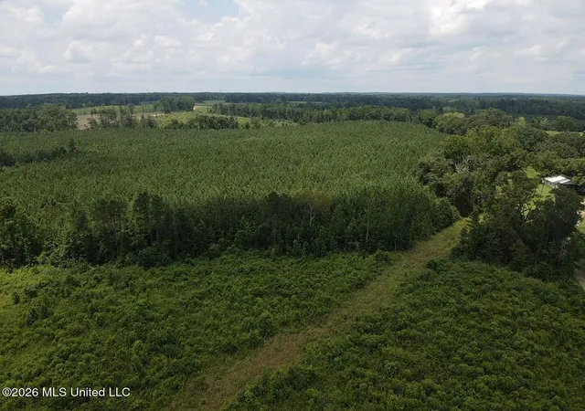 Homes for sale in Morton, MS | County Road 131b, Morton, MS 39117 | MLS# 4155219