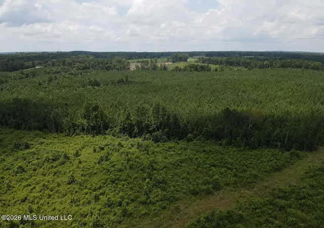 Homes for sale in Morton, MS | County Road 131B, Morton, MS 39117 | MLS# 4155219