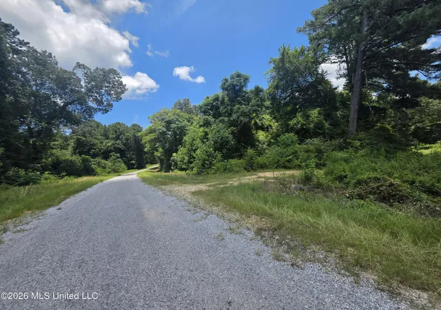 Photo 3 of Land for sale at Scrd 538e, Morton, MS 39117 | MLS# 4155940 | Listing updated on 2026-07-15