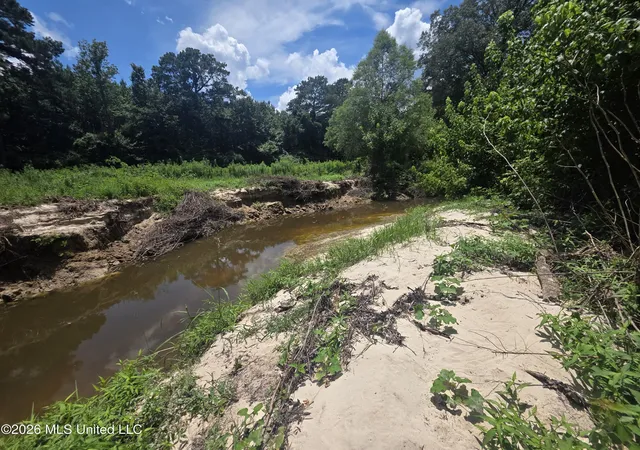 Photo 4 of Land for sale at Scrd 538e, Morton, MS 39117 | MLS# 4155940 | Listing updated on 2026-07-15