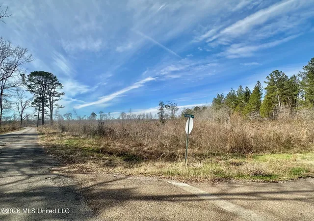 Homes for sale in Terry, MS | 00 Prentiss Crump Road, Terry, MS 39170 | MLS# 4155250