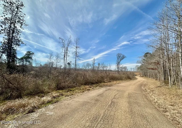 Homes for sale in Terry, MS | 00 Prentiss Crump Road, Terry, MS 39170 | MLS# 4155250