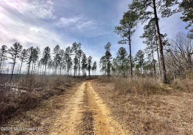 Homes for sale in Terry, MS | 01 Prentiss Crump Road, Terry, MS 39170 | MLS# 4155251
