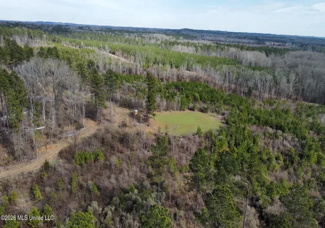 Homes for sale in Terry, MS | 001 Dry Grove Road, Terry, MS 39170 | MLS# 4155255