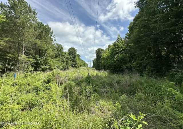 Homes for sale in Crystal Springs, MS | Rhymes Rd, Crystal Springs, MS 39059 | MLS# 4155299