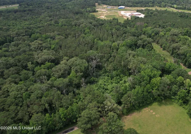 Homes for sale in Crystal Springs, MS | Rhymes Rd, Crystal Springs, MS 39059 | MLS# 4155299