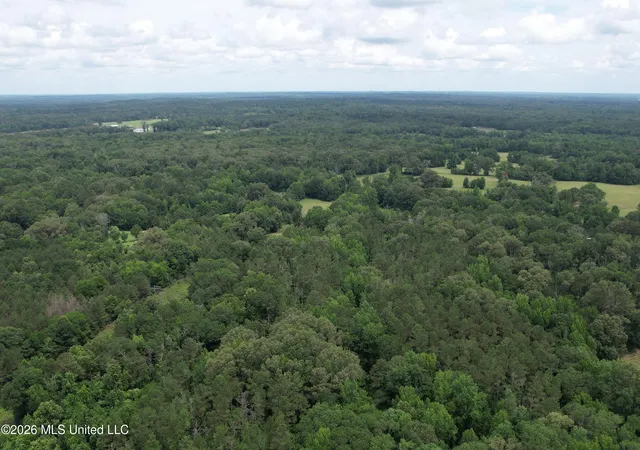 Homes for sale in Crystal Springs, MS | Rhymes Rd, Crystal Springs, MS 39059 | MLS# 4155299