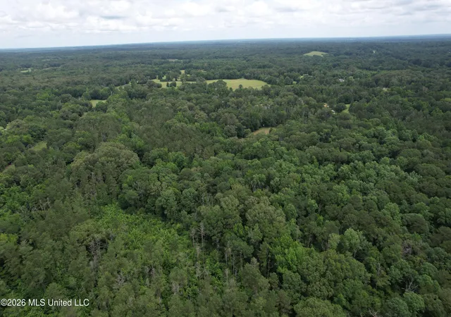 Homes for sale in Crystal Springs, MS | Rhymes Rd, Crystal Springs, MS 39059 | MLS# 4155299