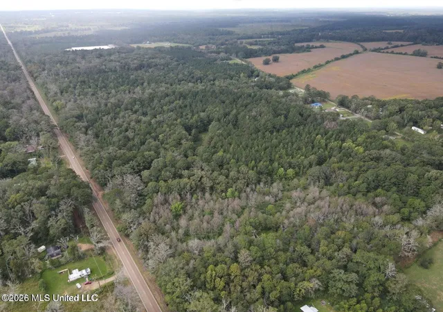 Homes for sale in Forest, MS | Mississippi 35, Forest, MS 39074 | MLS# 4155269