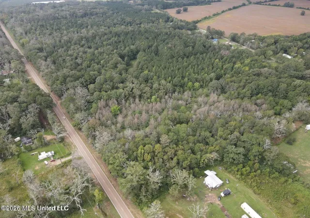 Homes for sale in Forest, MS | Mississippi 35, Forest, MS 39074 | MLS# 4155269