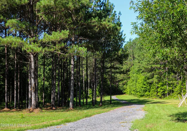 106th image of Mississippi 12, Starkville, MS 39759 | MLS# 4155396
