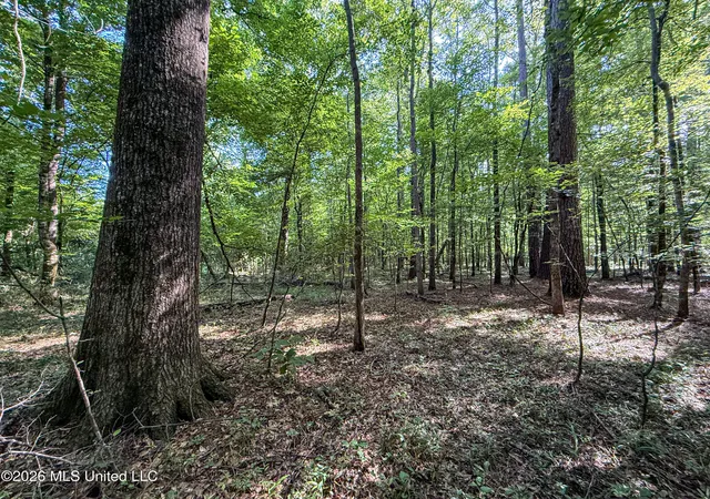 3rd image of Mississippi 12, Starkville, MS 39759 | MLS# 4155396