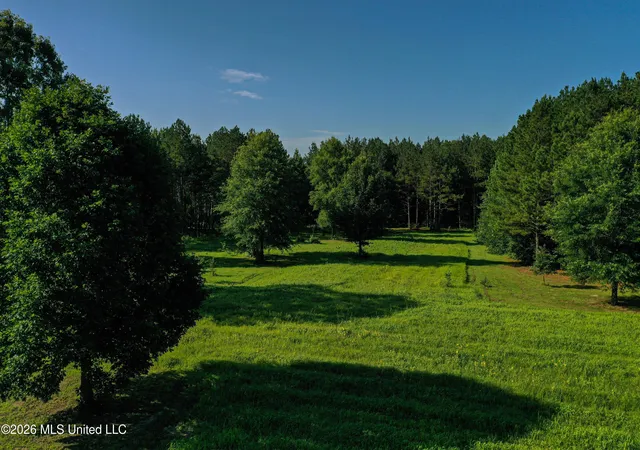 4th image of Mississippi 12, Starkville, MS 39759 | MLS# 4155396