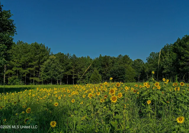 5th image of Mississippi 12, Starkville, MS 39759 | MLS# 4155396