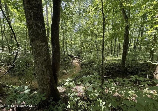 11th image of Summer Oaks Dr, Lamar, MS 38642 | MLS# 4155552