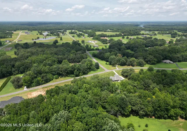 4th image of Summer Oaks Dr, Lamar, MS 38642 | MLS# 4155552
