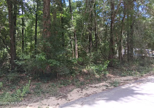 Homes for sale in Lucedale, MS | Singing River Dr, Lucedale, MS 39452 | MLS# 4155543