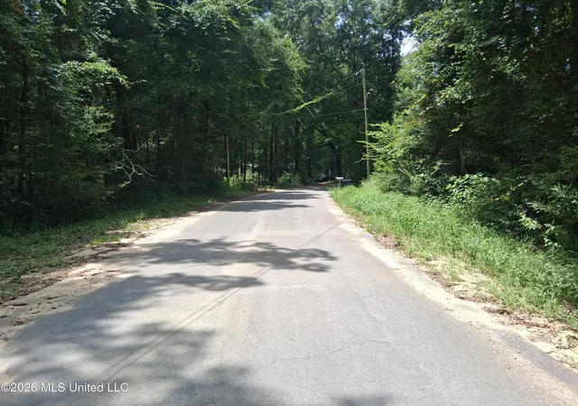 Homes for sale in Lucedale, MS | Singing River Dr, Lucedale, MS 39452 | MLS# 4155543