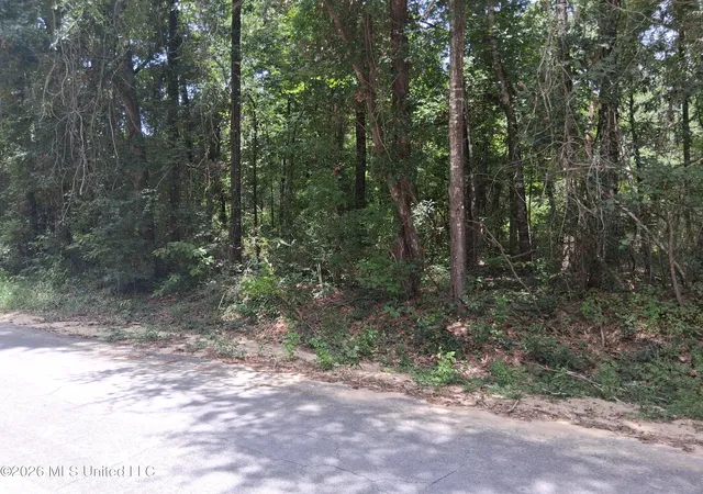 Homes for sale in Lucedale, MS | Singing River Dr, Lucedale, MS 39452 | MLS# 4155543