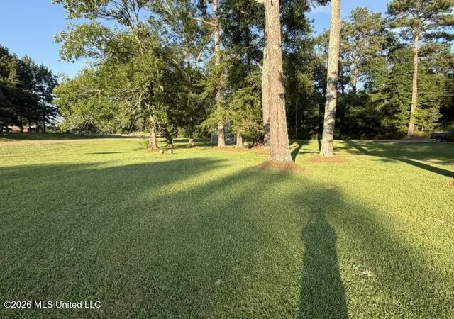 4th image of 7030 Mississippi 18, Mendenhall, MS 39114 | MLS# 4155439