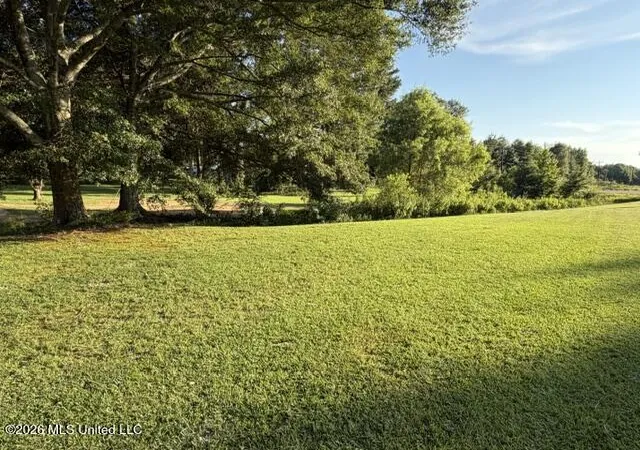 5th image of 7030 Mississippi 18, Mendenhall, MS 39114 | MLS# 4155439
