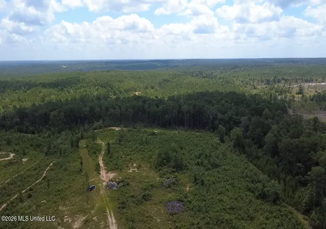 Homes for sale in Lumberton, MS | 196 S County Line Rd, Lumberton, MS 39455 | MLS# 4155321