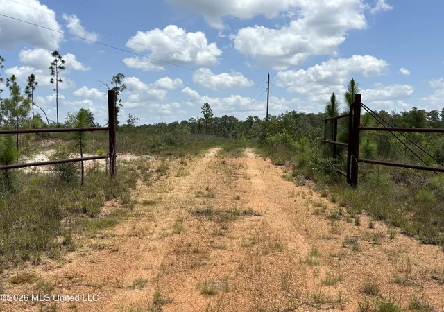 Homes for sale in Lumberton, MS | 196 S County Line Rd, Lumberton, MS 39455 | MLS# 4155321