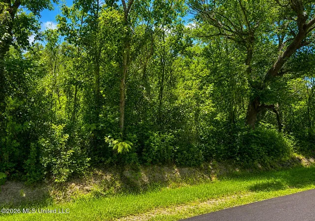 Homes for sale in Bay Saint Louis, MS | 11011 Heron St, Bay Saint Louis, MS 39520 | MLS# 4155358