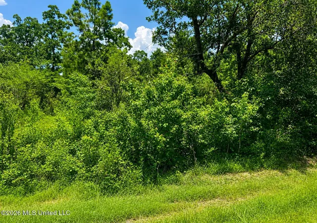 Homes for sale in Bay Saint Louis, MS | 11011 Heron St, Bay Saint Louis, MS 39520 | MLS# 4155358