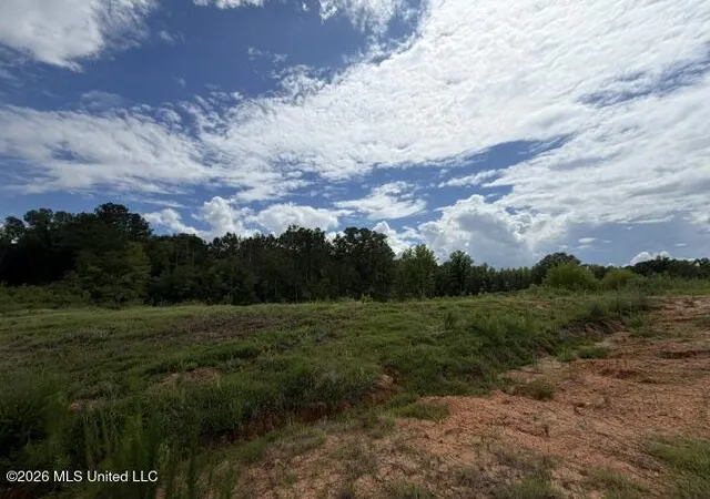Photo 1 of Land for sale at 7 Taylor Nicole Rd, Coldwater, MS 38618 | MLS# 4155827 | Listing updated on 2026-07-17