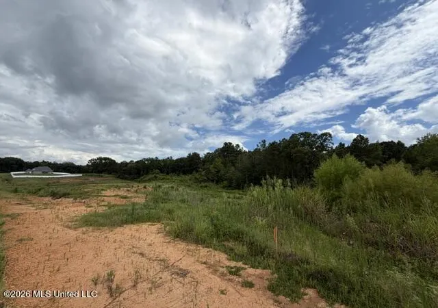 Photo 2 of Land for sale at 7 Taylor Nicole Rd, Coldwater, MS 38618 | MLS# 4155827 | Listing updated on 2026-07-17